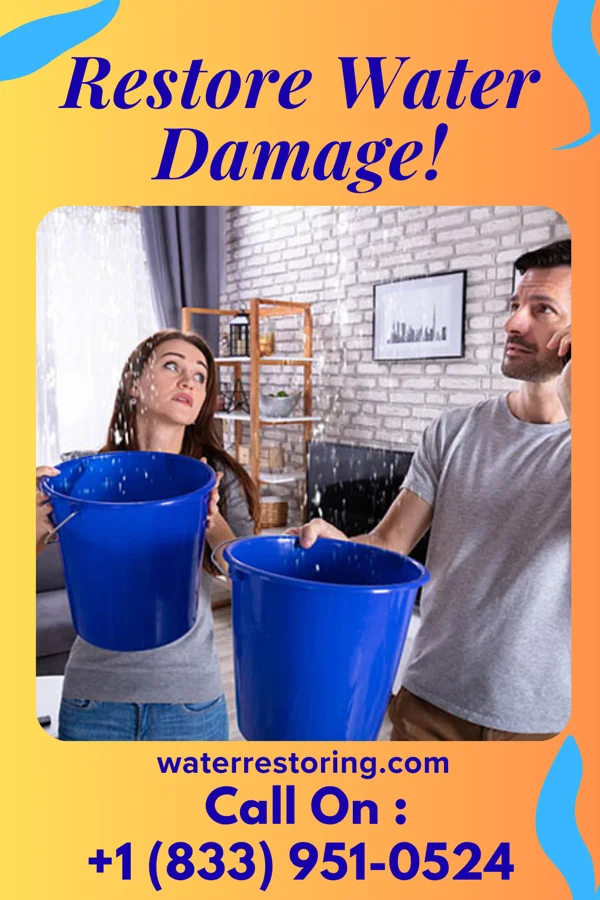 water restoration Local Water Mitigation Inc Fairhaven