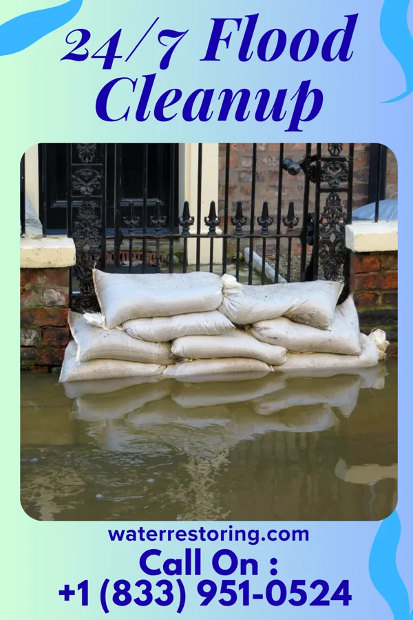 24/7 Flood Cleanup in Fairhaven, MN