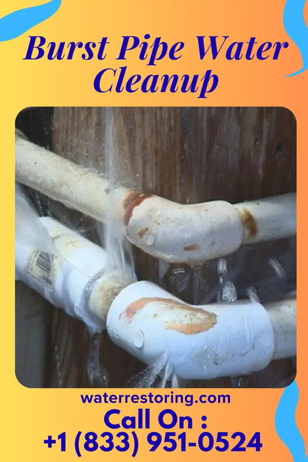 Burst Pipe Water Cleanup in Fairhaven, MN
